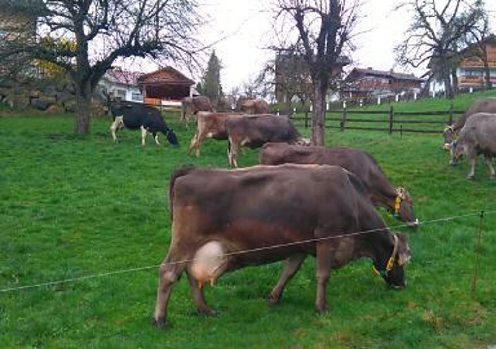Photo of Others in Weissenbach