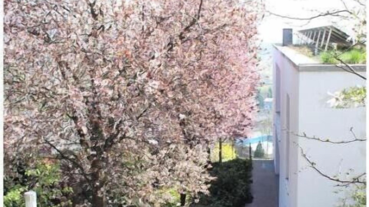 Photo of Outdoor in Toster