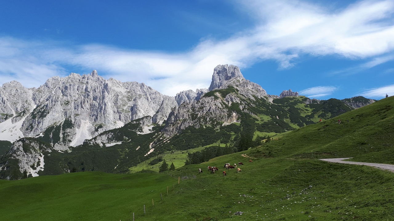 Photo of Others in Annaberg im Lammertal