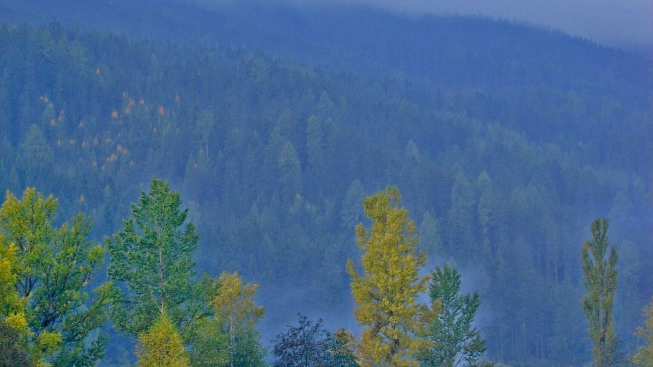 Photo of Others in Sillian