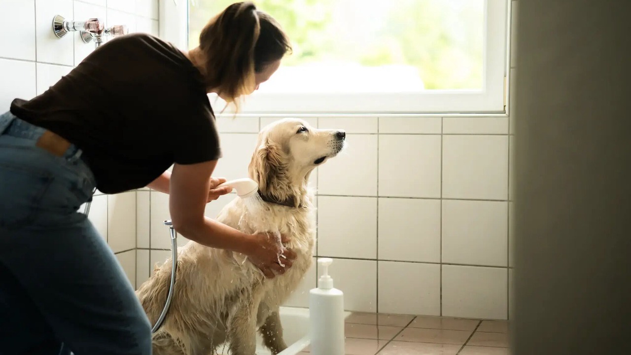 Photo of Bathroom in Leutasch