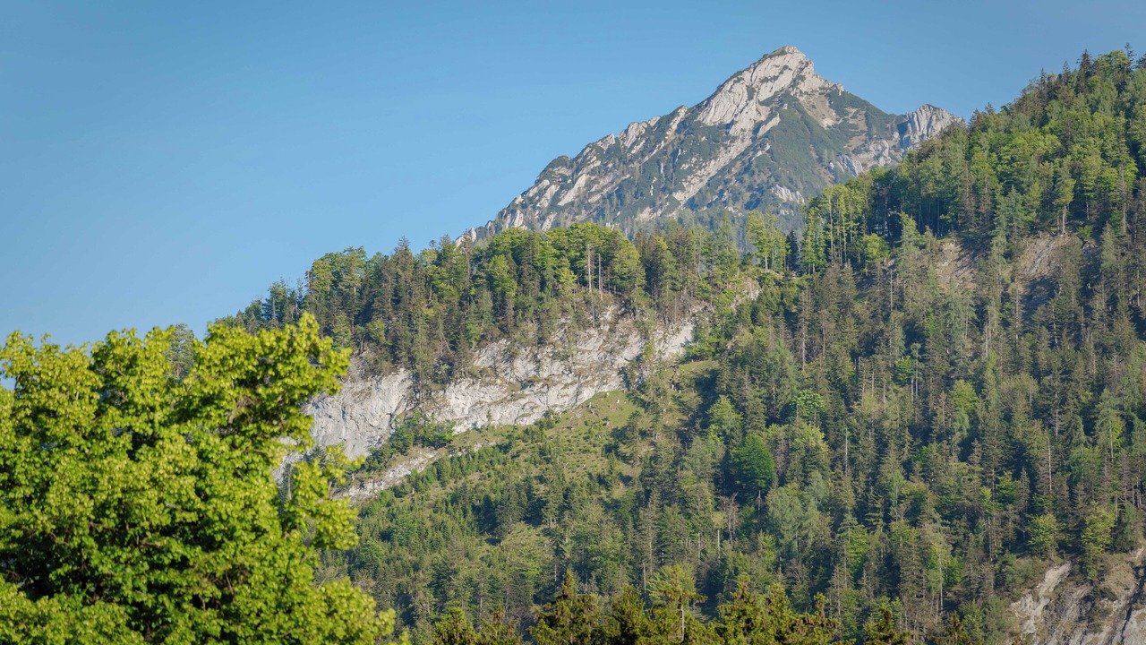 Photo of Others in Strobl