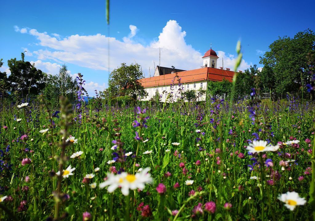 Photo of Others in Sankt Georgen am Langsee