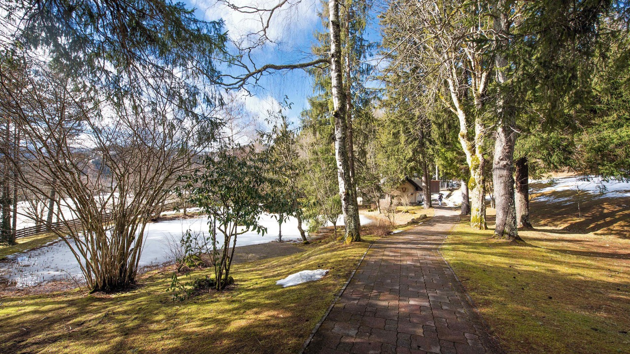Photo of Outdoor in Mitterbach am Erlaufsee