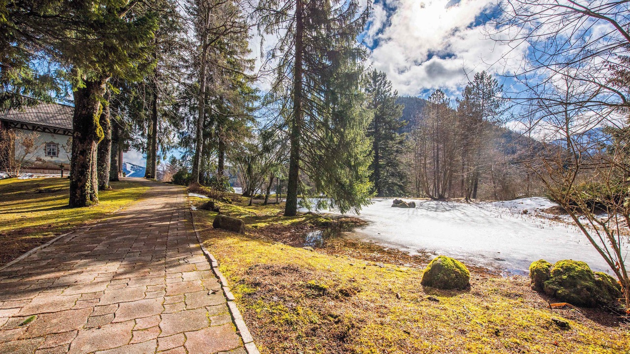 Photo of Others in Mitterbach am Erlaufsee