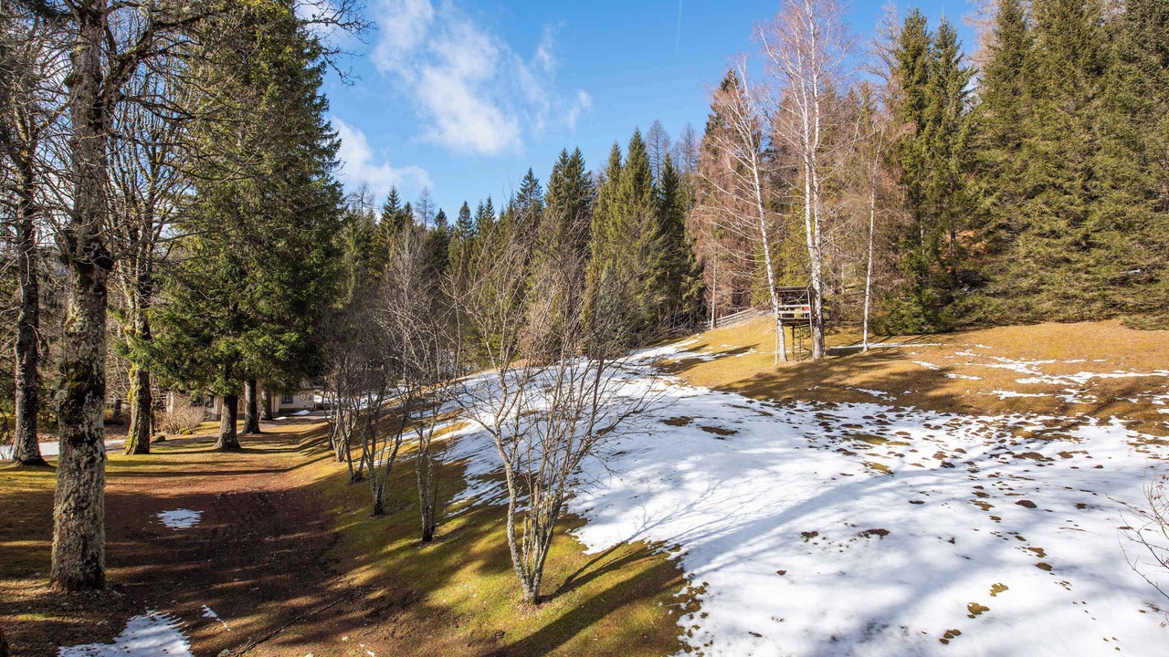 Photo of Others in Mitterbach am Erlaufsee