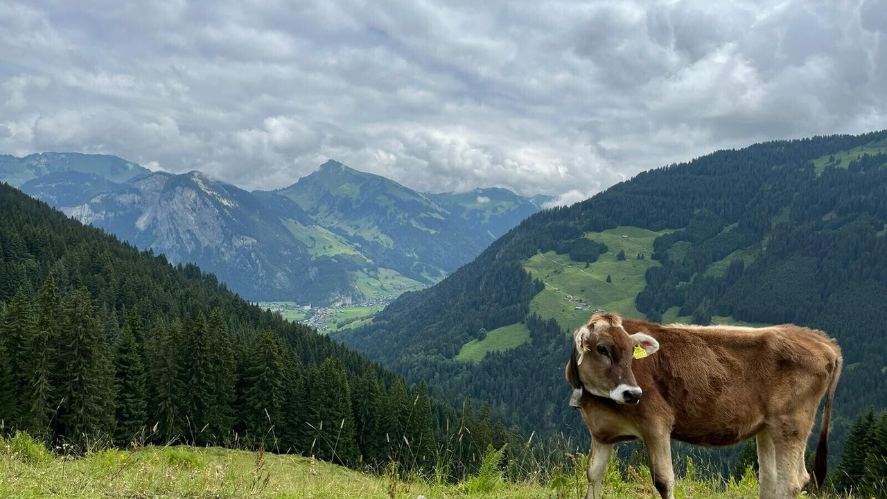 Photo of Others in Damuels