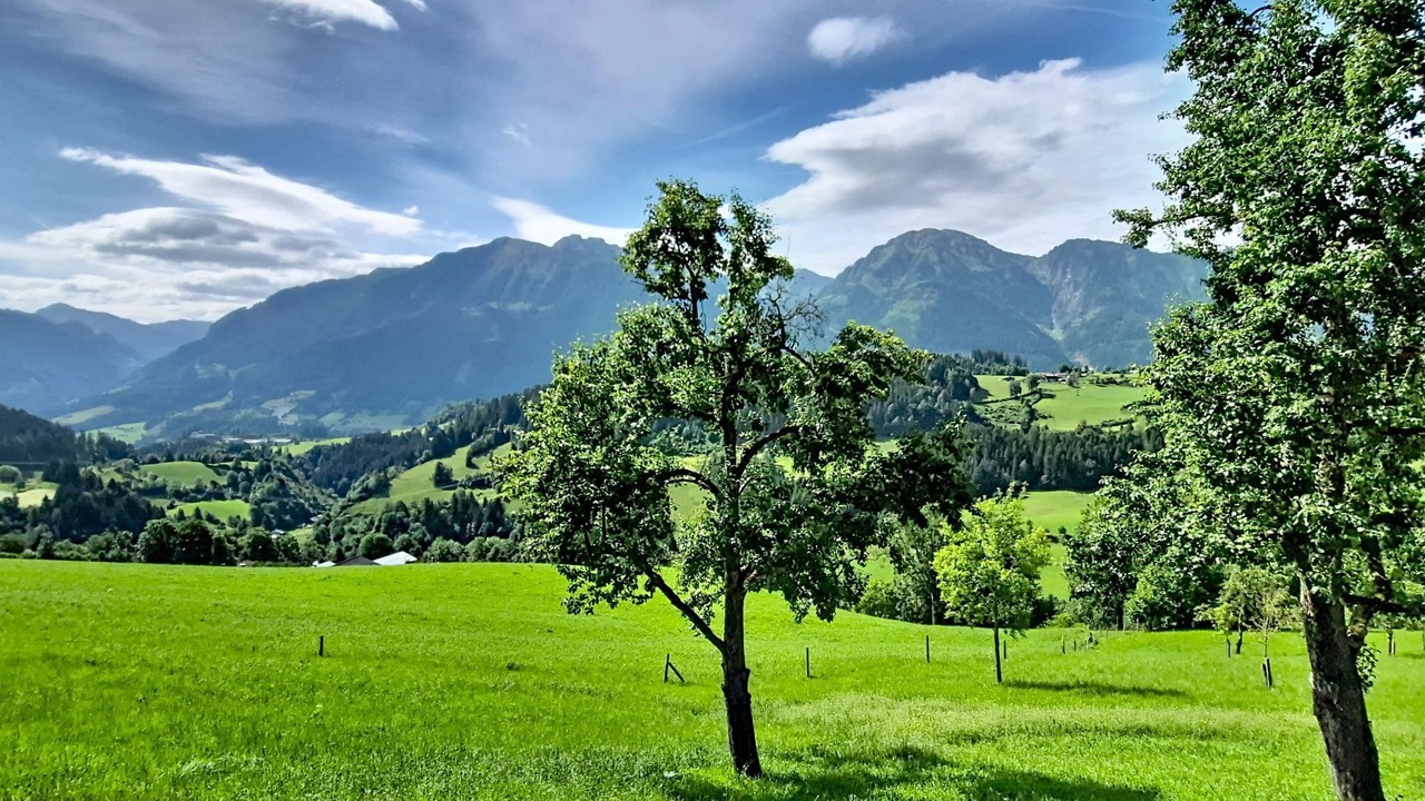 Photo of Others in Sankt Veit im Pongau