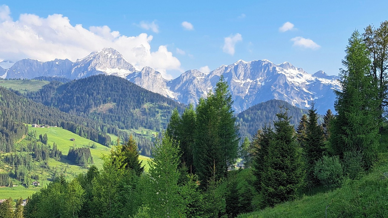 Photo of Bedroom in Sankt Martin am Tennengebirge