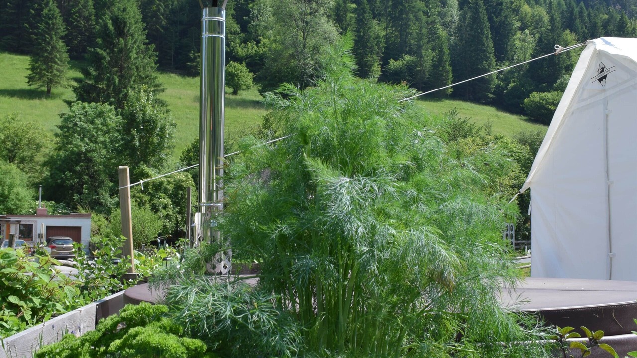 Photo of Others in Schwarzau im Gebirge
