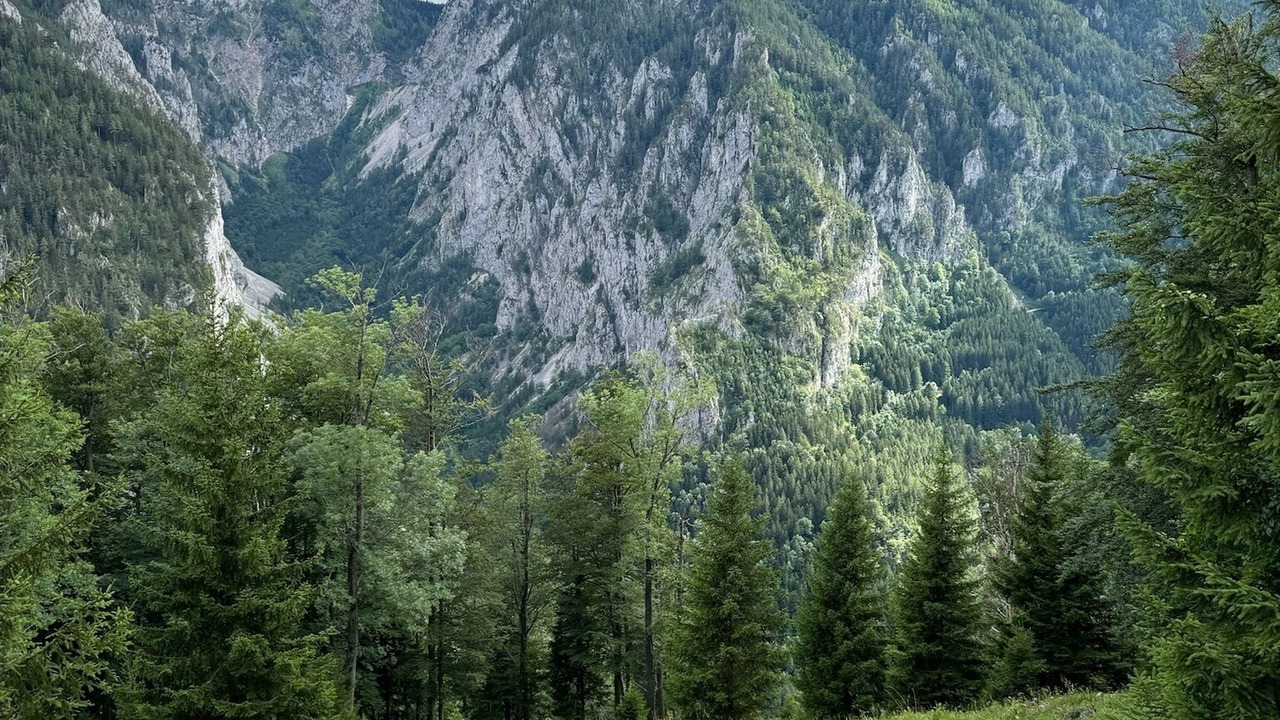 Photo of Outdoor in Schwarzau im Gebirge