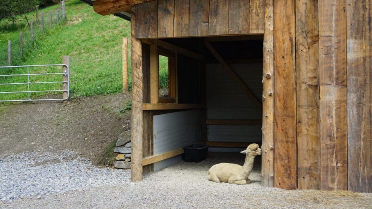 Photo of Outdoor in Sankt Georgen am Kreischberg