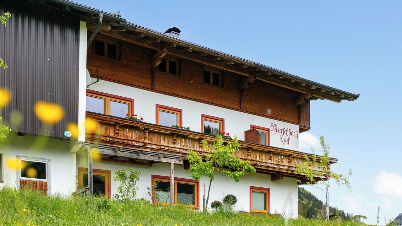 Photo of Outdoor in Walchsee