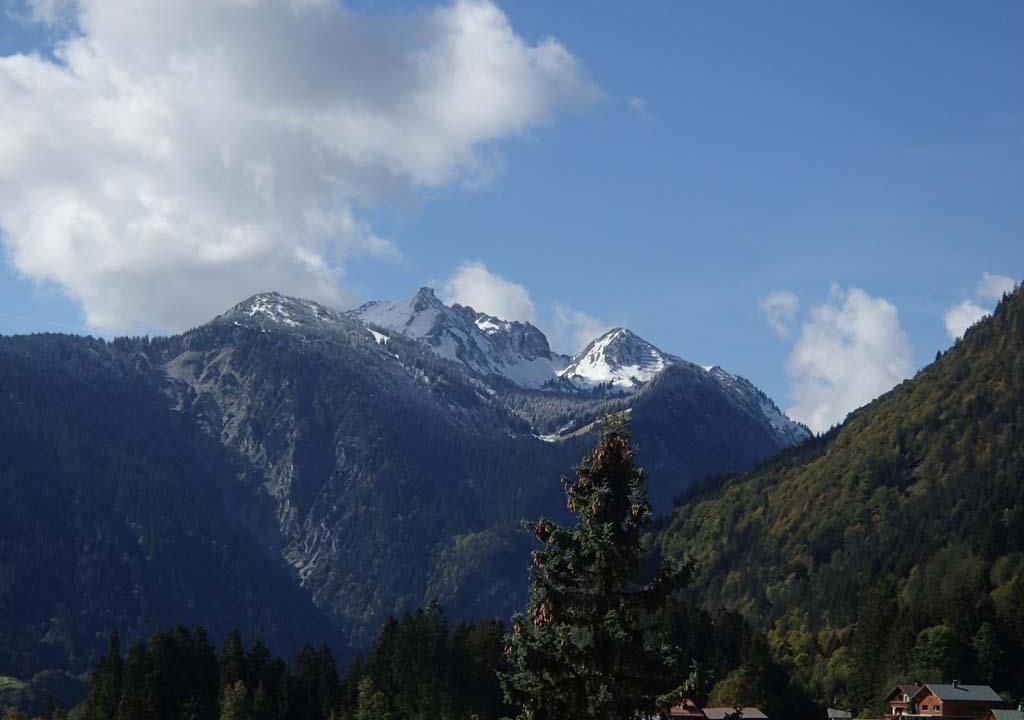 Photo of Others in Wald am Arlberg