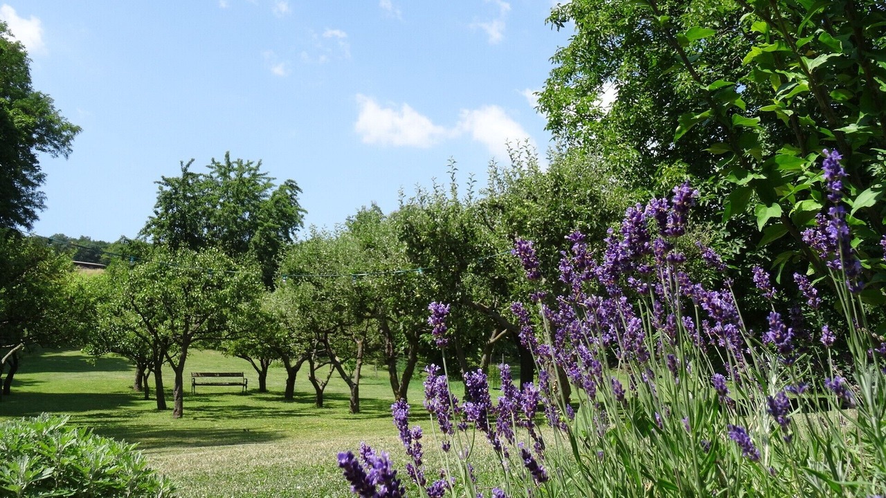 Photo of Outdoor in Kritzendorf