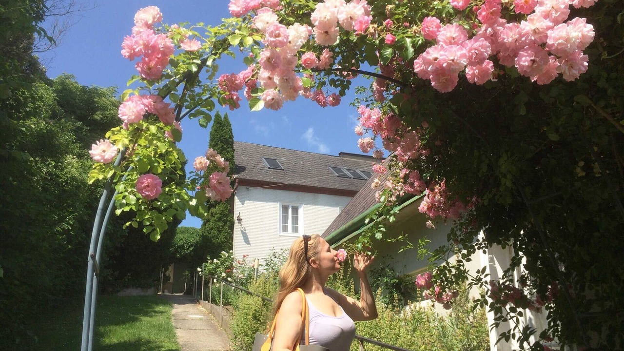 Photo of Outdoor in Kritzendorf