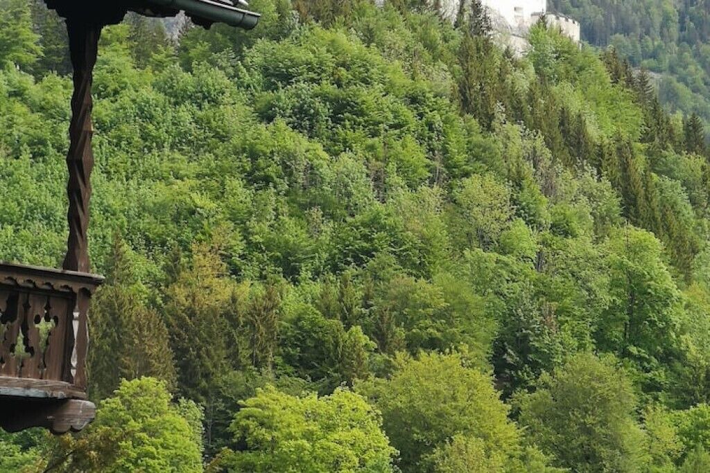 Photo of Others in Werfen