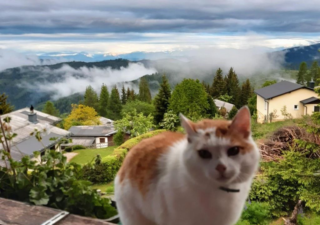 Photo of Outdoor in Deutsch-Griffen