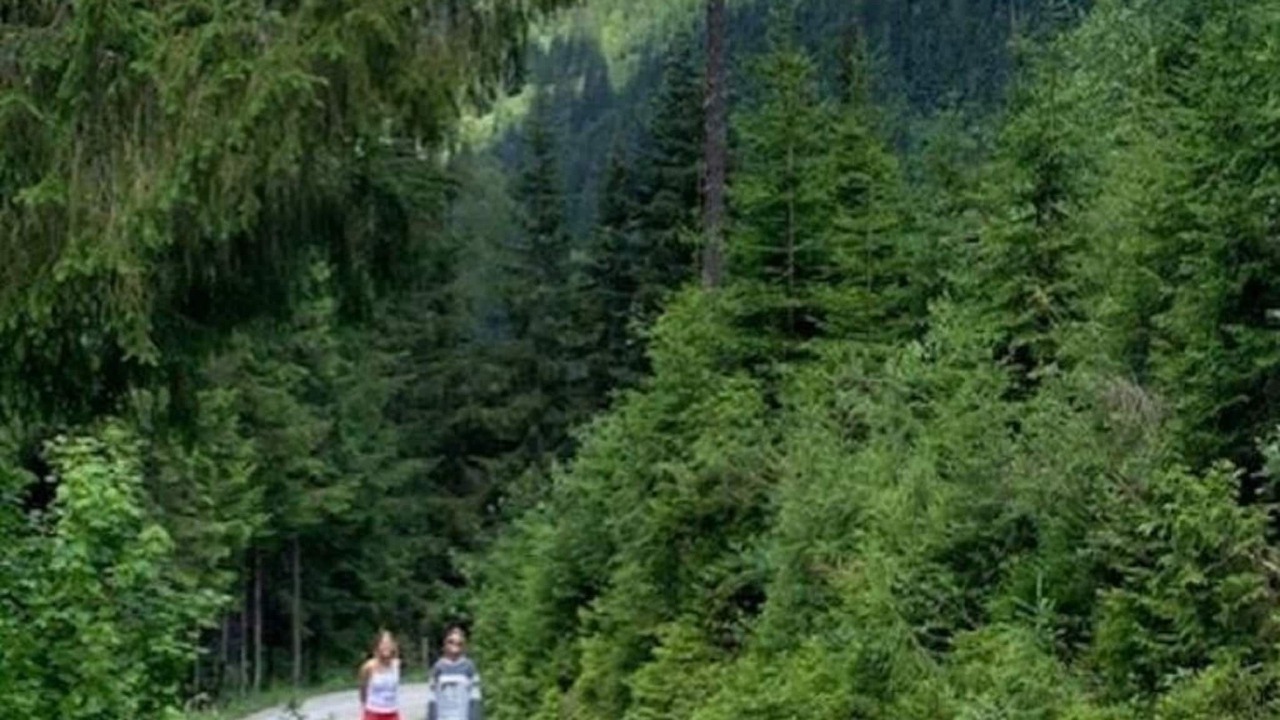 Photo of Others in Goldegg