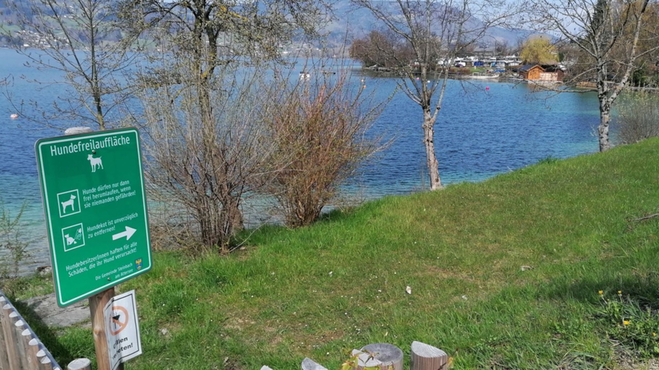 Photo of Outdoor in Steinbach am Attersee