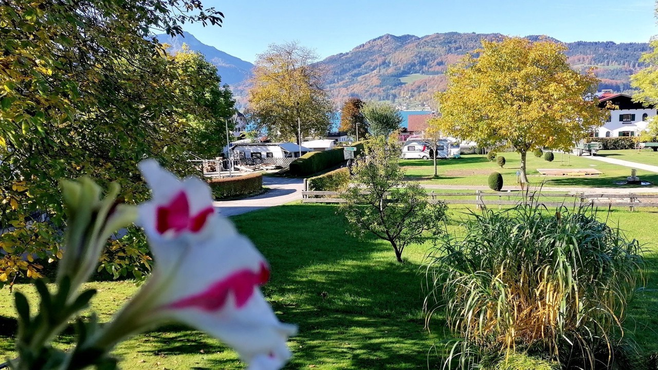 Photo of Outdoor in Steinbach am Attersee