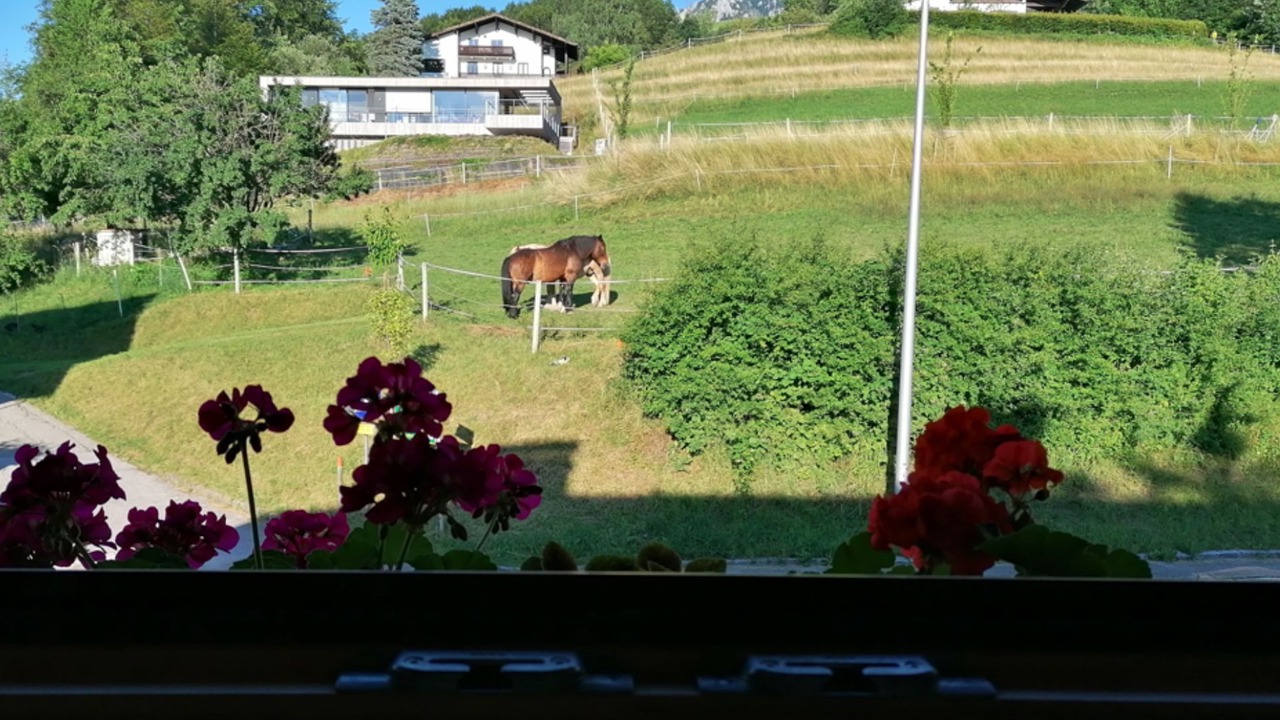 Photo of Others in Steinbach am Attersee