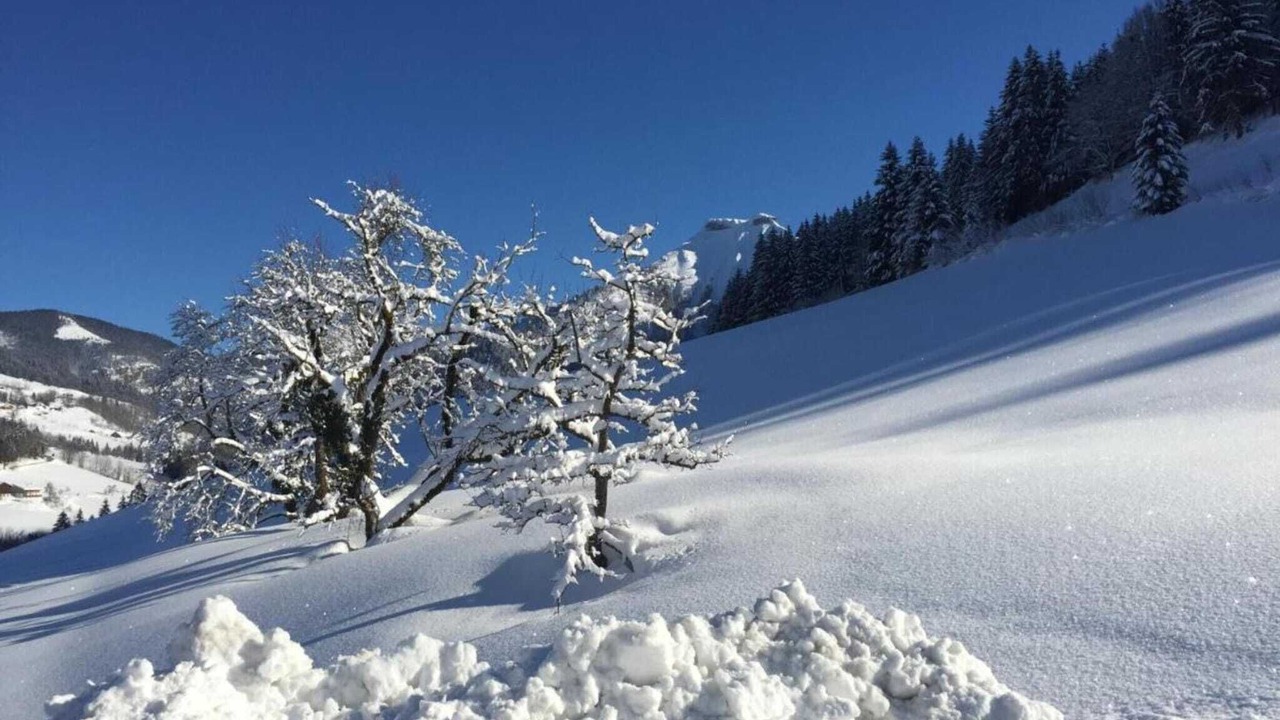 Photo of Others in Flachau