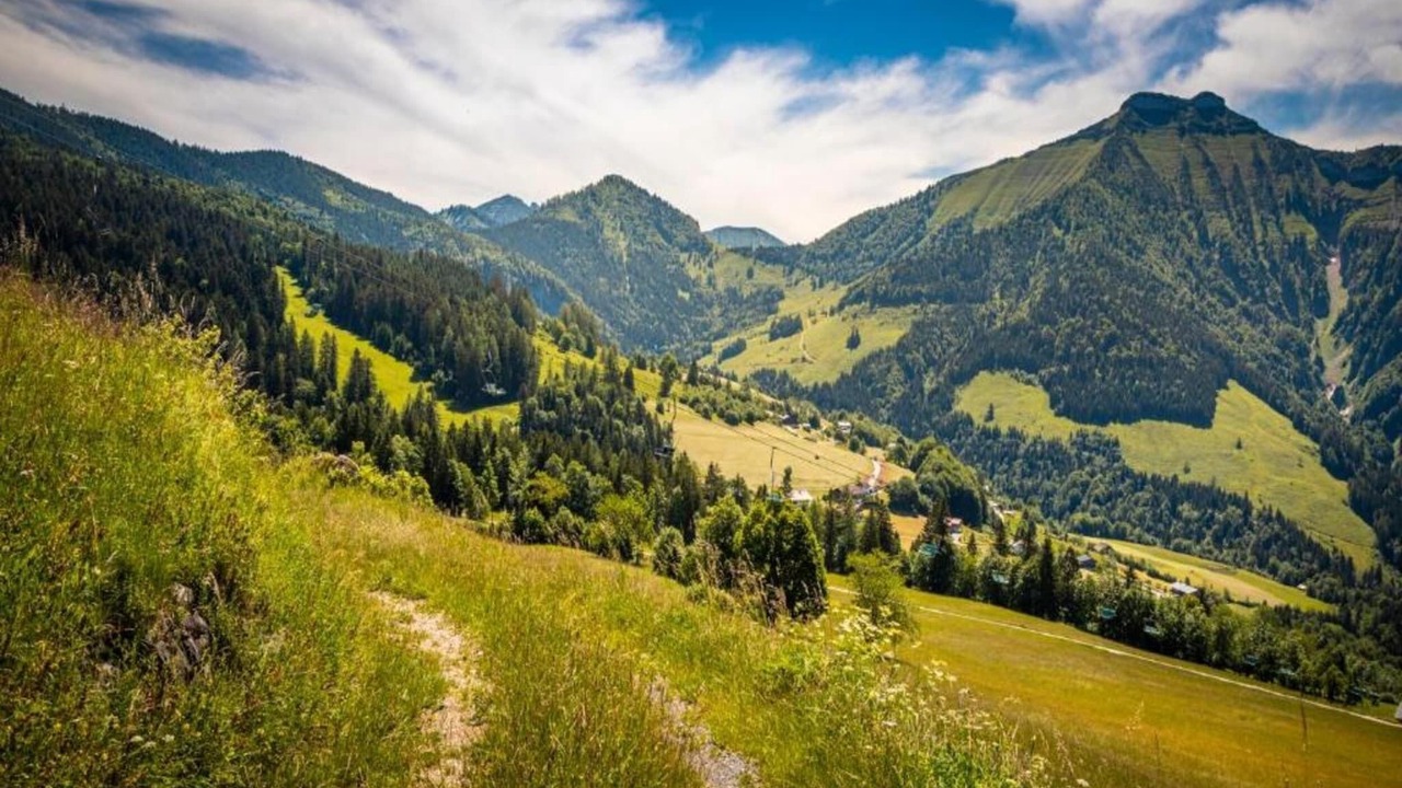 Photo of Others in Flachau