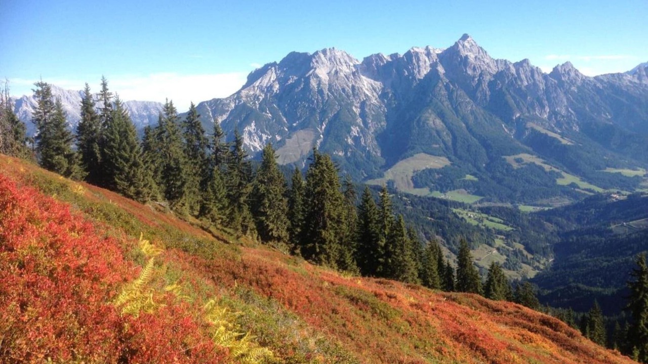 Photo of Others in Flachau