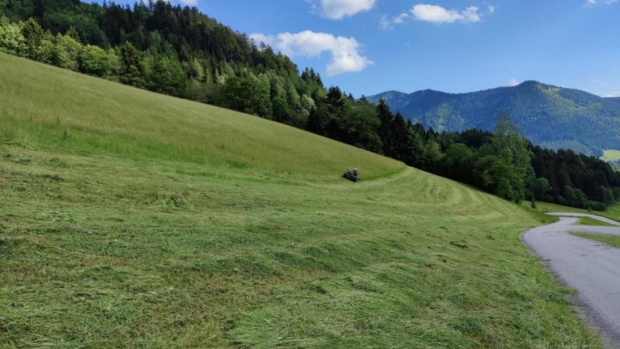 Photo of Others in Flachau