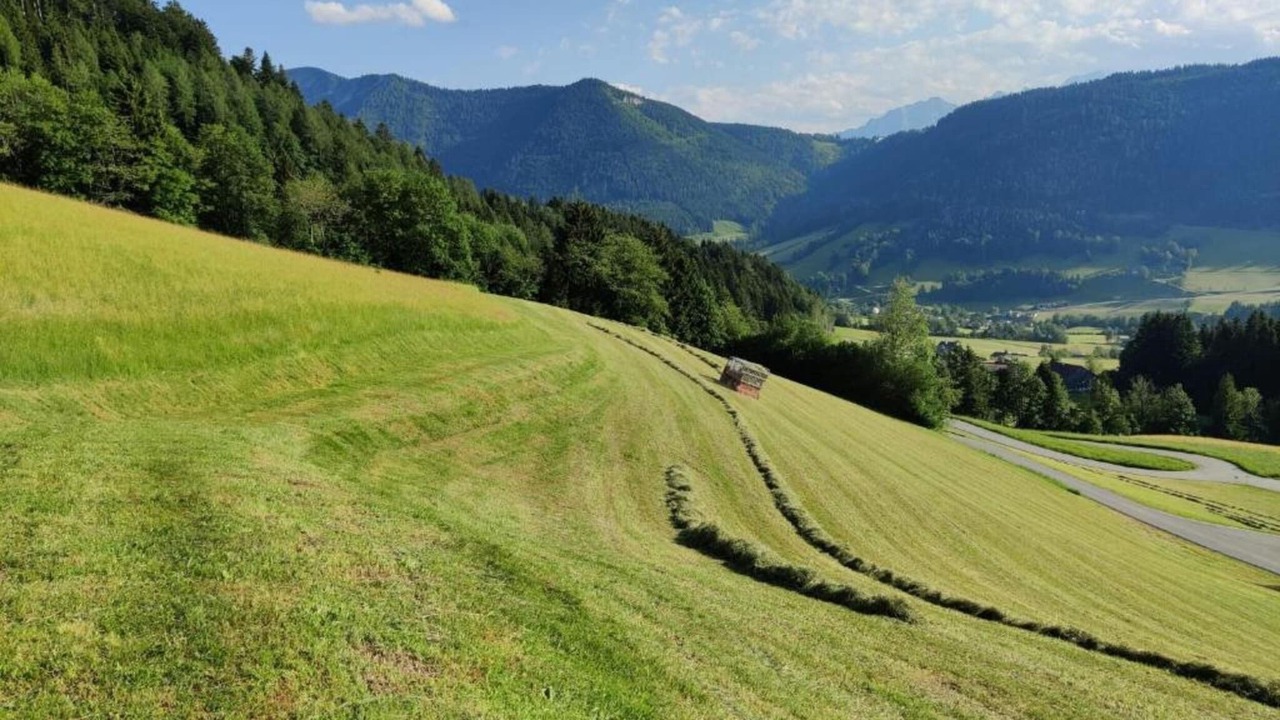 Photo of Others in Flachau