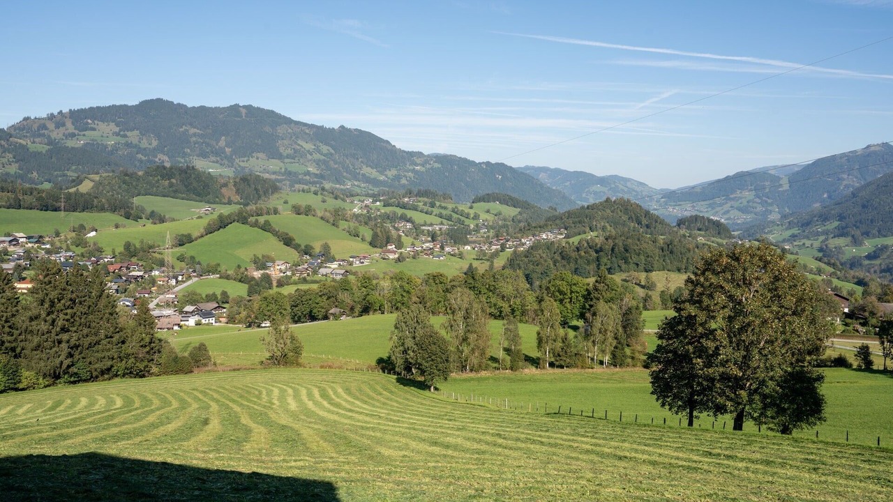 Photo of Others in Goldegg