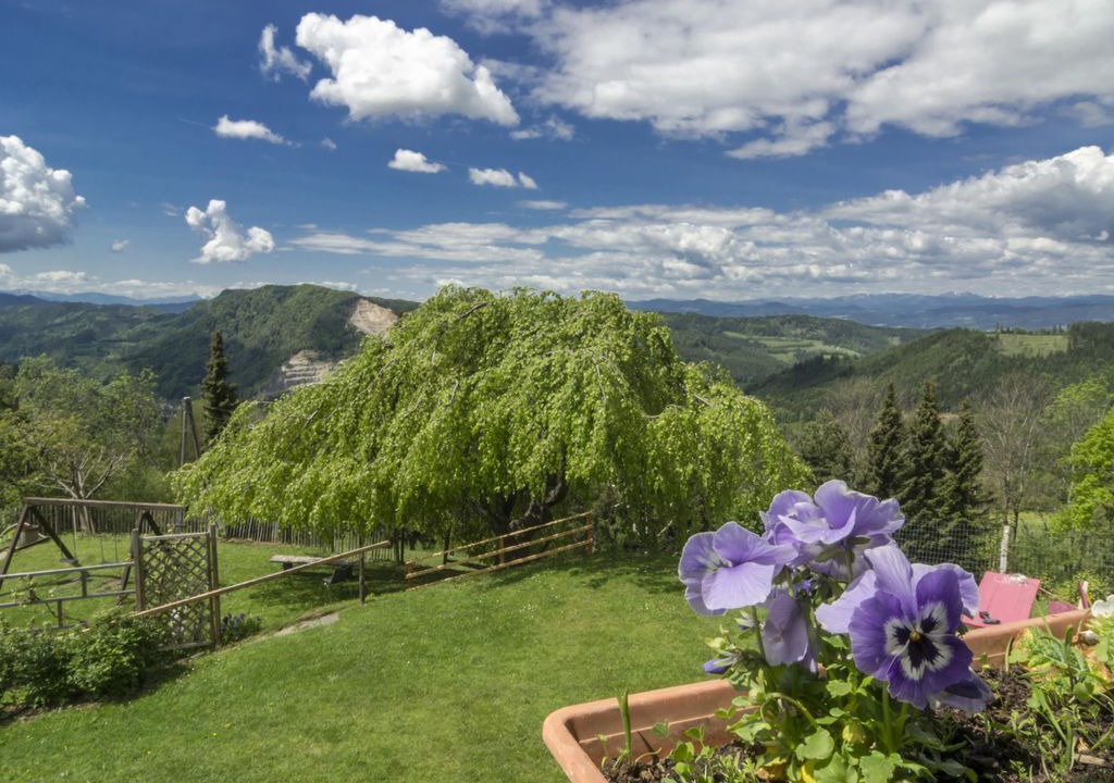 Photo of Outdoor in Eberstein