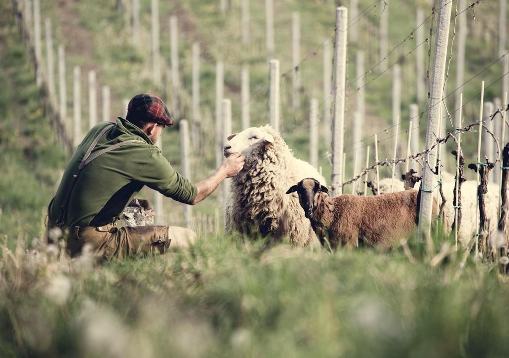 Photo of Others in Sankt Georgen am Langsee