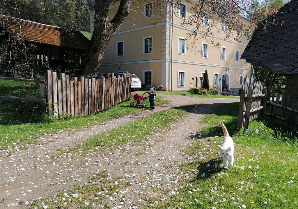 Photo of Outdoor in Guttaring