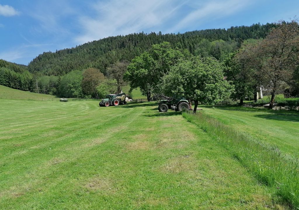 Photo of Outdoor in Guttaring