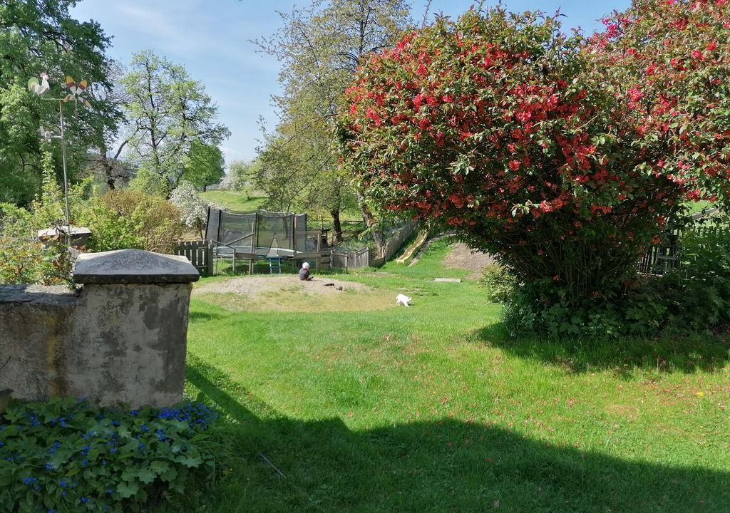 Photo of Outdoor in Guttaring