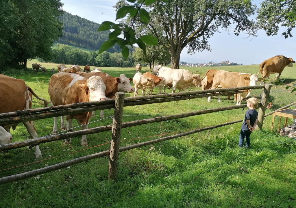 Photo of Others in Guttaring