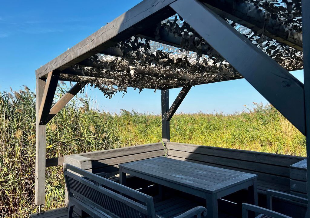 Photo of Outdoor in Rust