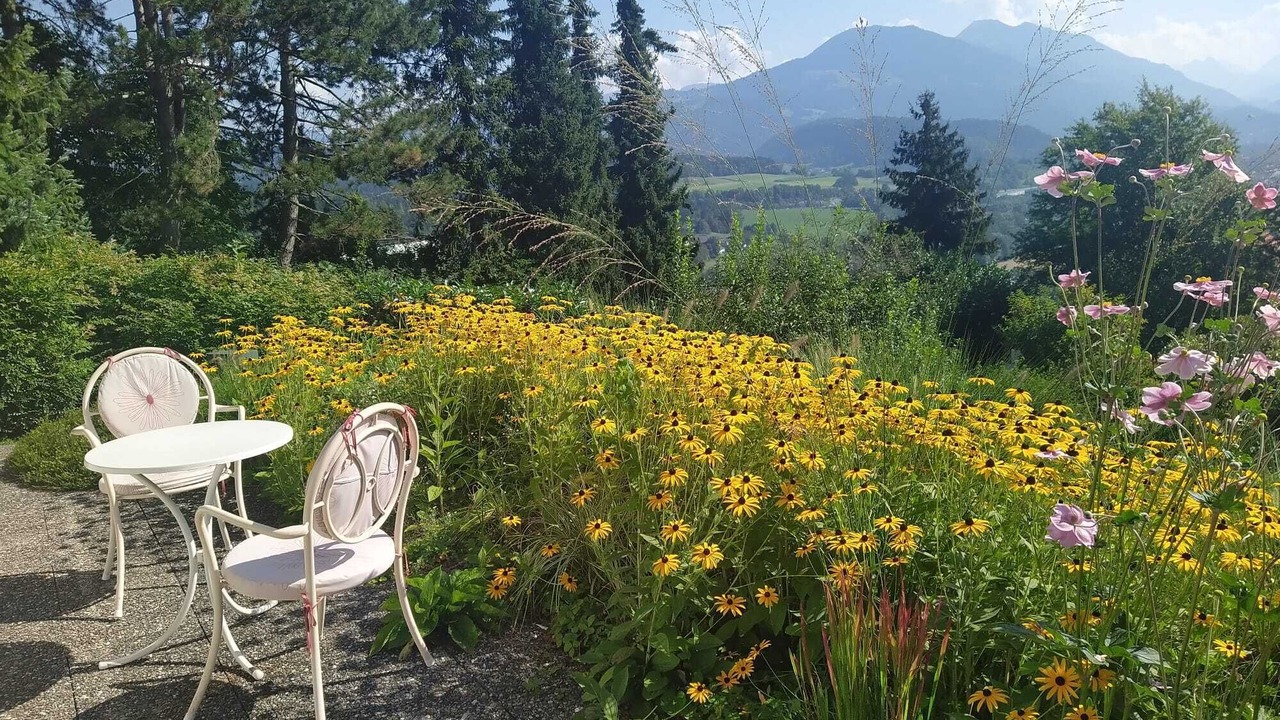 Photo of Outdoor in Toster
