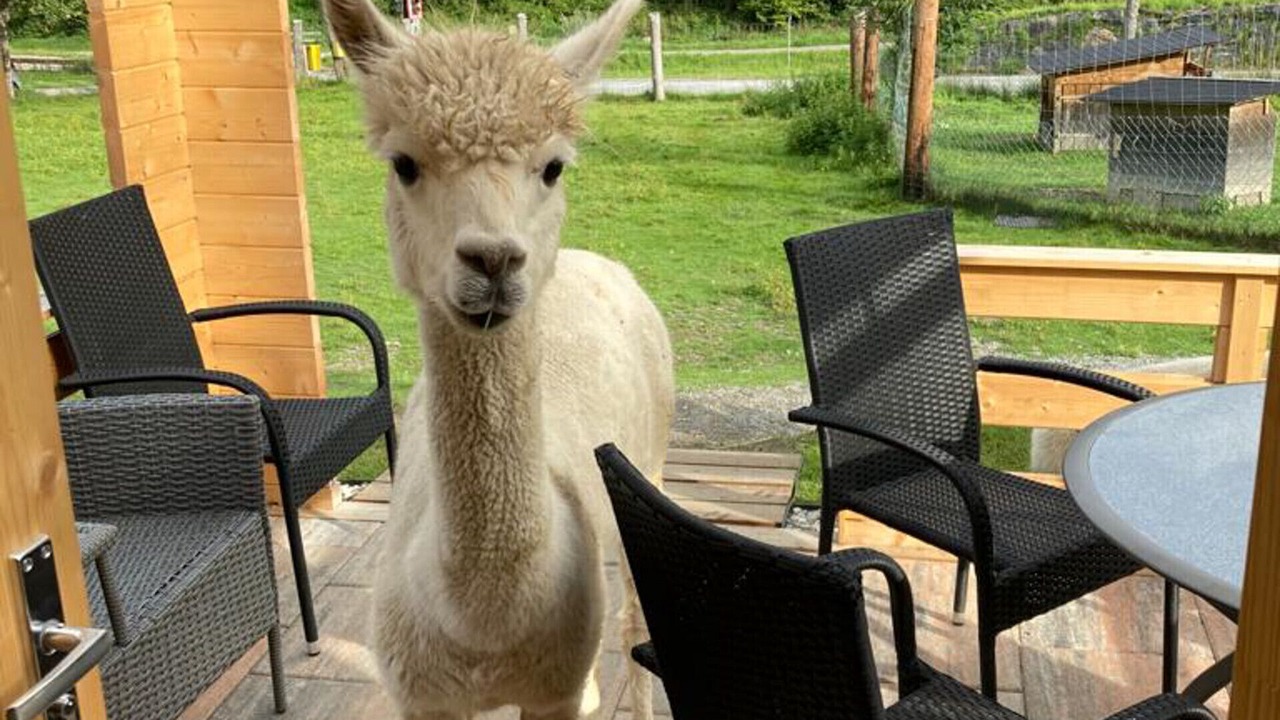 Photo of Outdoor in Murau