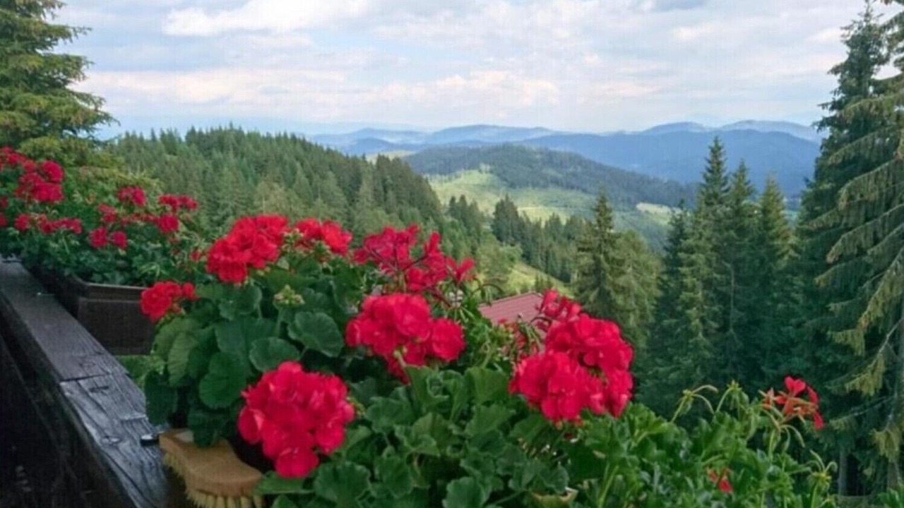 Photo of Outdoor in Albeck