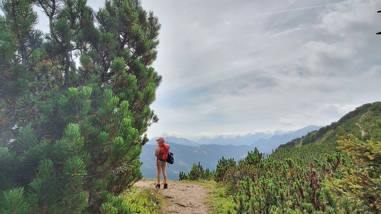 Photo of Others in Flachau