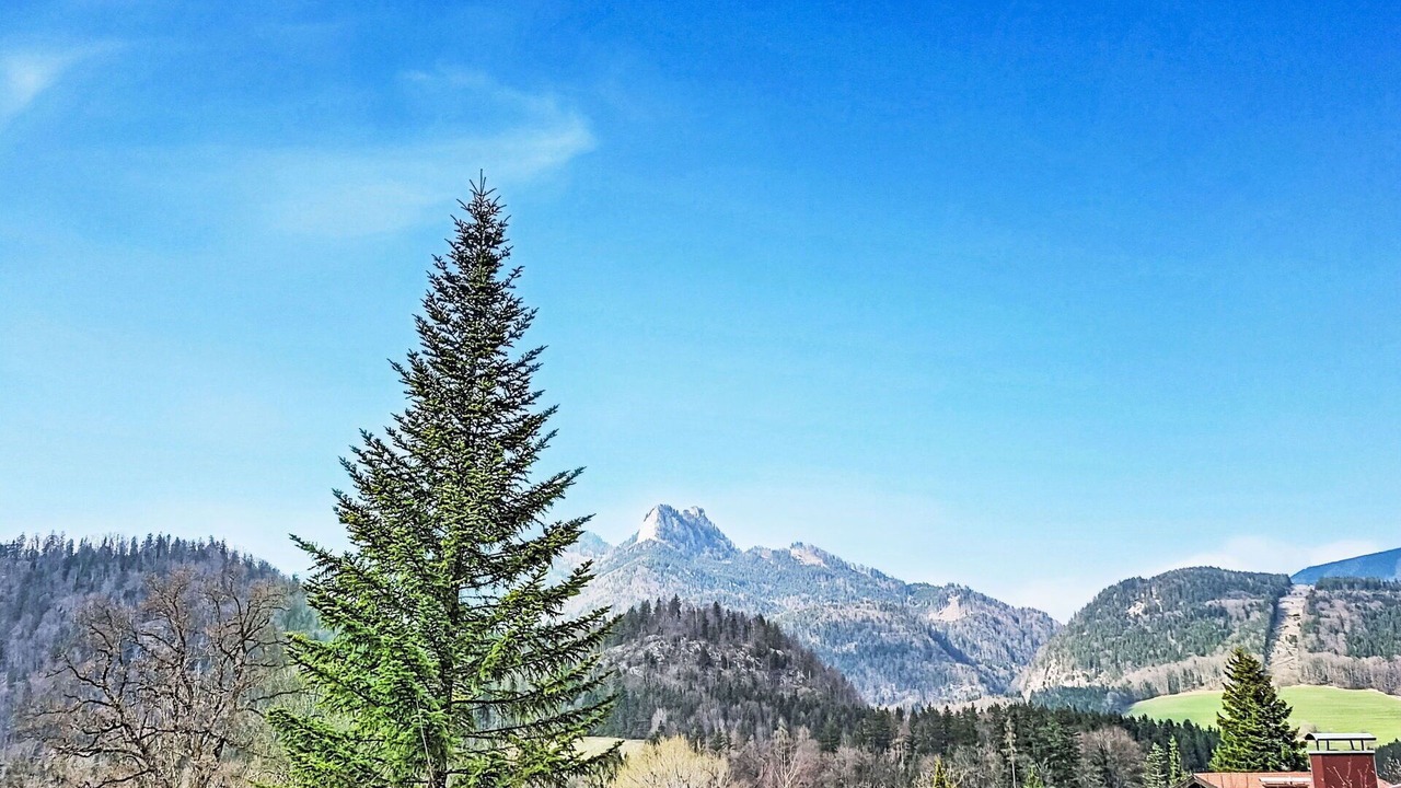 Photo of Others in Strobl