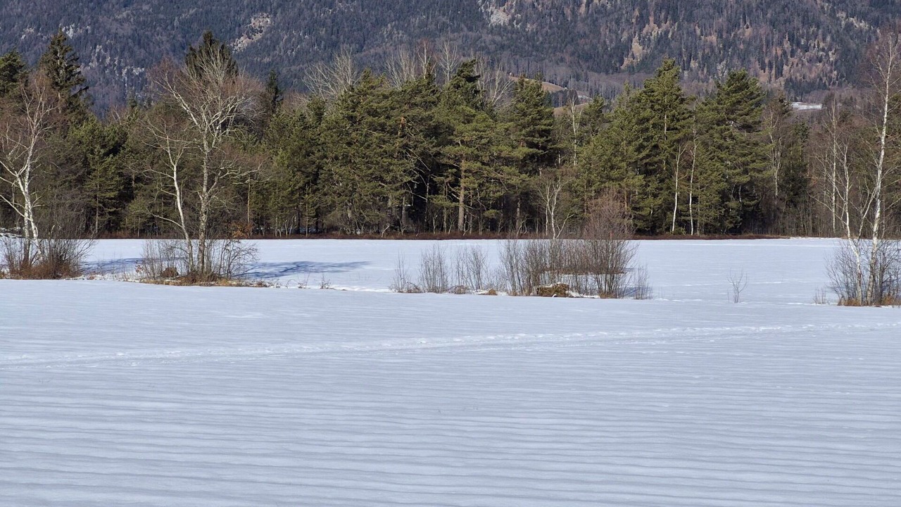 Photo of Others in Strobl