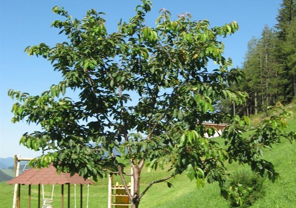 Photo of Others in Oberwolz
