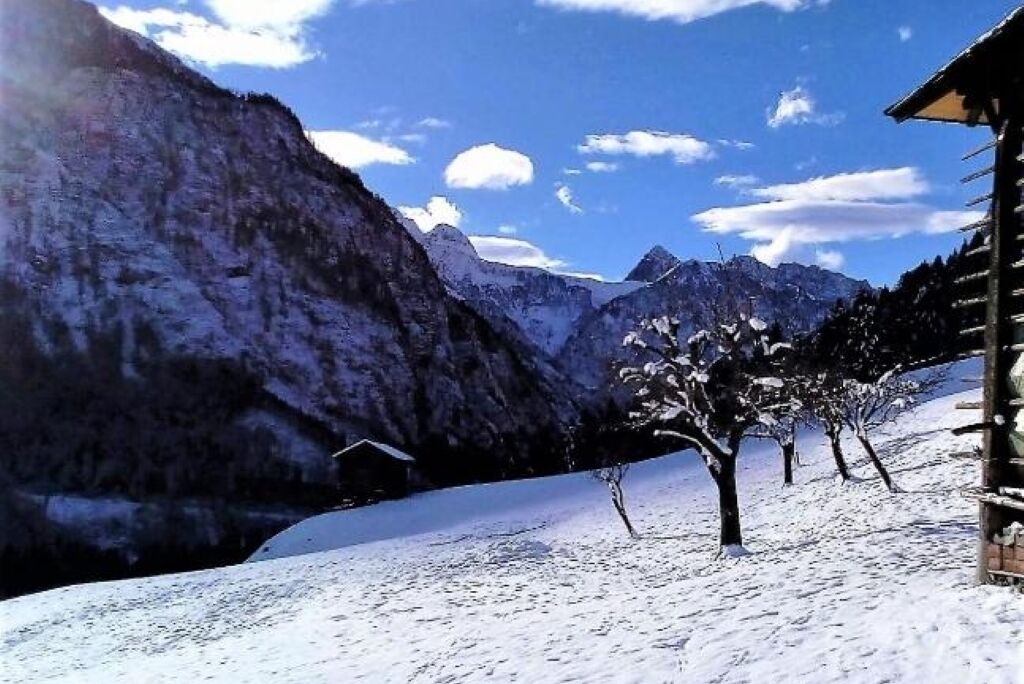 Photo of Others in Lesachtal