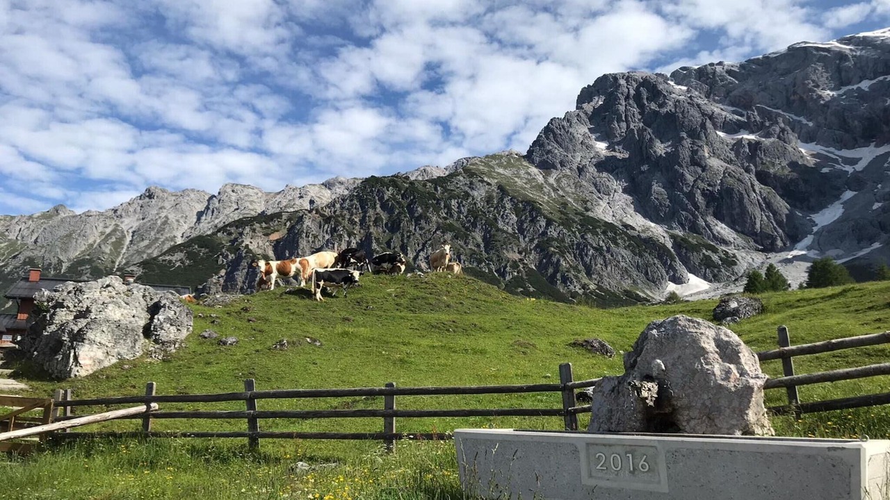 Photo of Others in Dienten am Hochkoenig