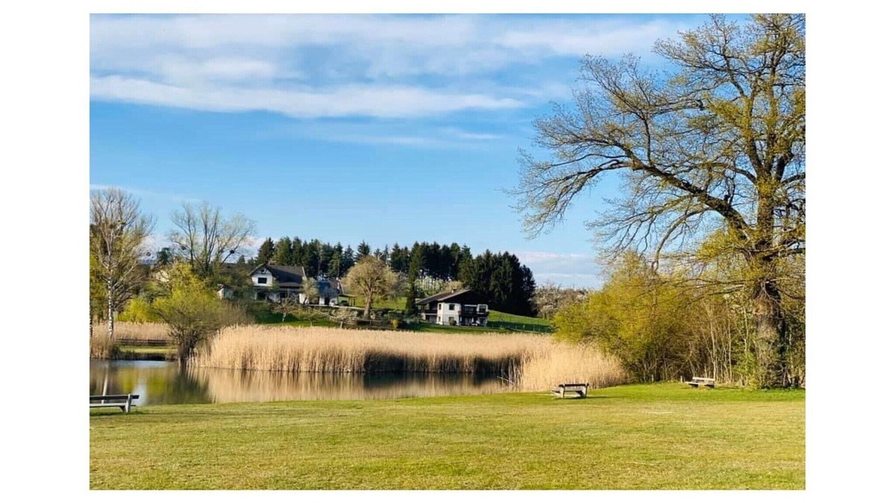 Photo of Others in Latschach