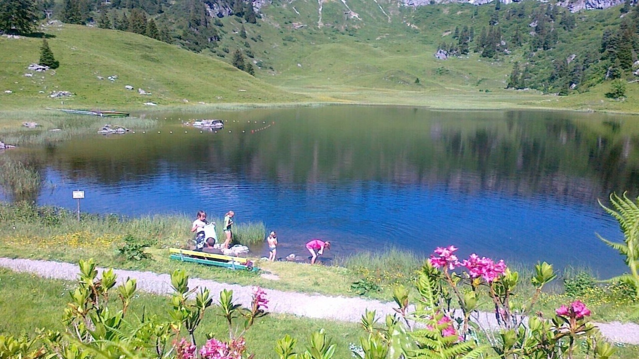 Photo of Others in Schroecken